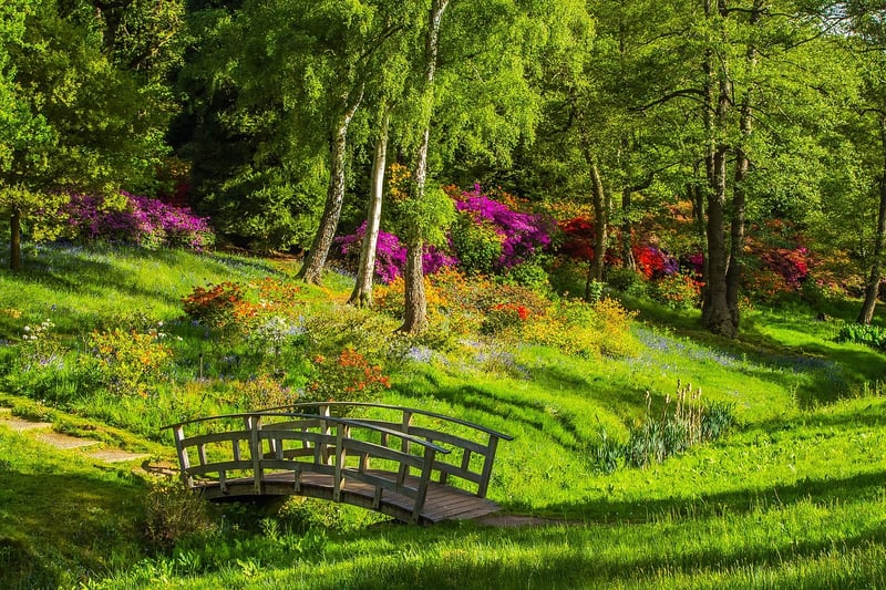 Wooden Bridges